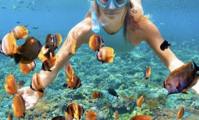 Snorkeling at Caño Island